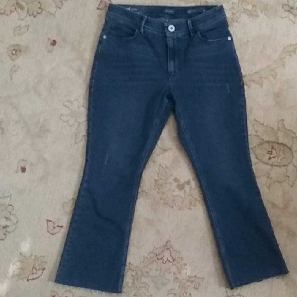 Clearance ✳️✳️✳️J Jill Denim Jeans NWT